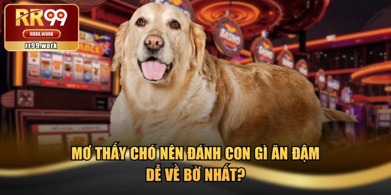 Mơ Thấy Chó Nên Đánh Con Gì Ăn Đậm, Dễ Về Bờ Nhất?